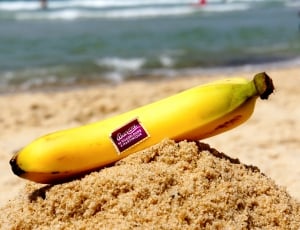 close up photo of yellow banana fruit above white sand thumbnail
