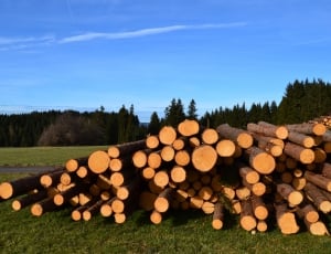 Wood, Cases, Saw, Tree, Sky, Stack, stack, timber thumbnail