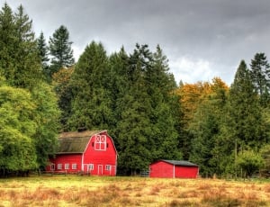red and white barn house between trees under cloudy sky thumbnail