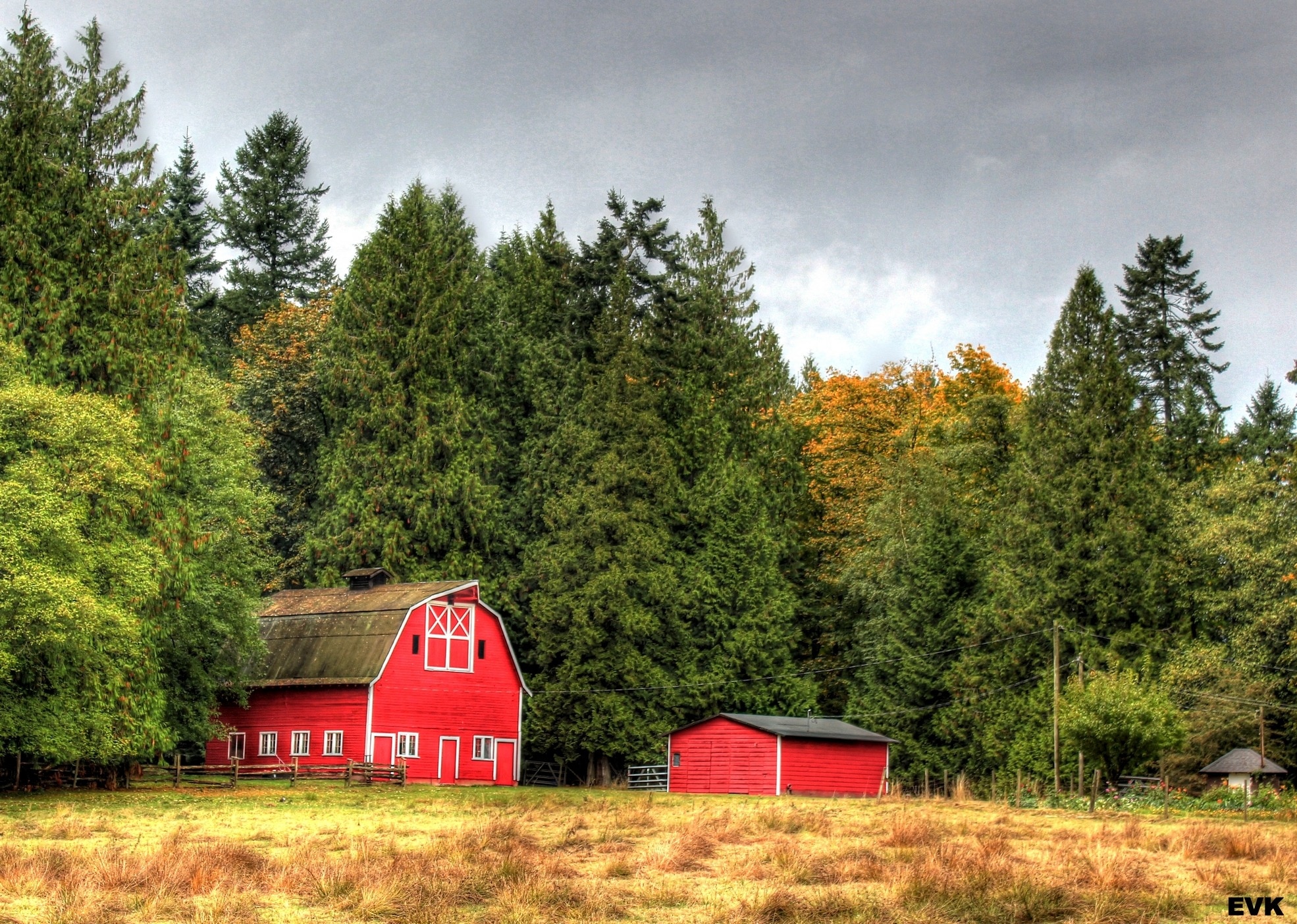 red and white barn house between trees under cloudy sky