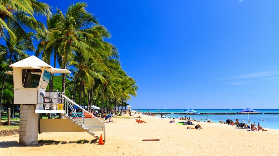 Hawaii, Beach, Honolulu, Palms, beach, sand preview