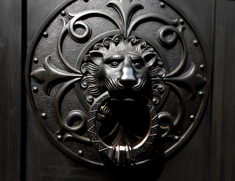 black steel lion head door knocker preview
