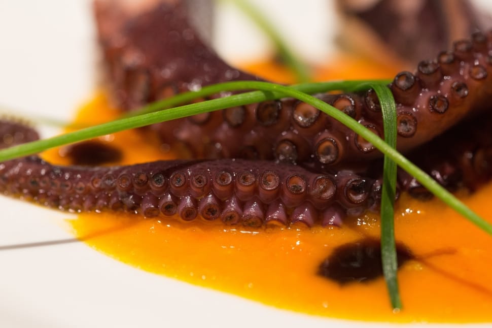 brown octopus dish with yellow liquid substance preview