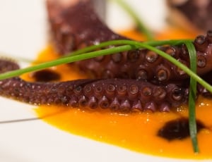 brown octopus dish with yellow liquid substance thumbnail