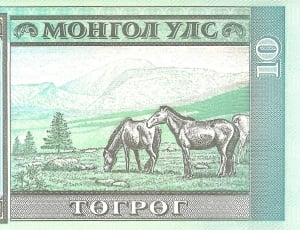 10 banknote thumbnail