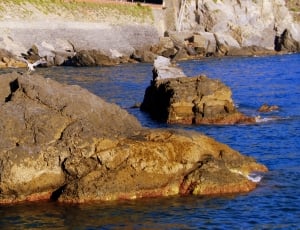 brown rock formation on seashore during daytime thumbnail