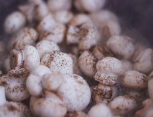 pile of white mushrooms thumbnail