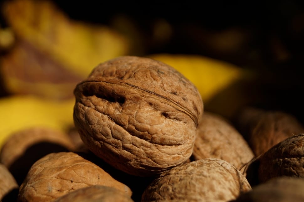 Crop, Walnut, Brown, Food, Fruit, Stone, food and drink, food preview