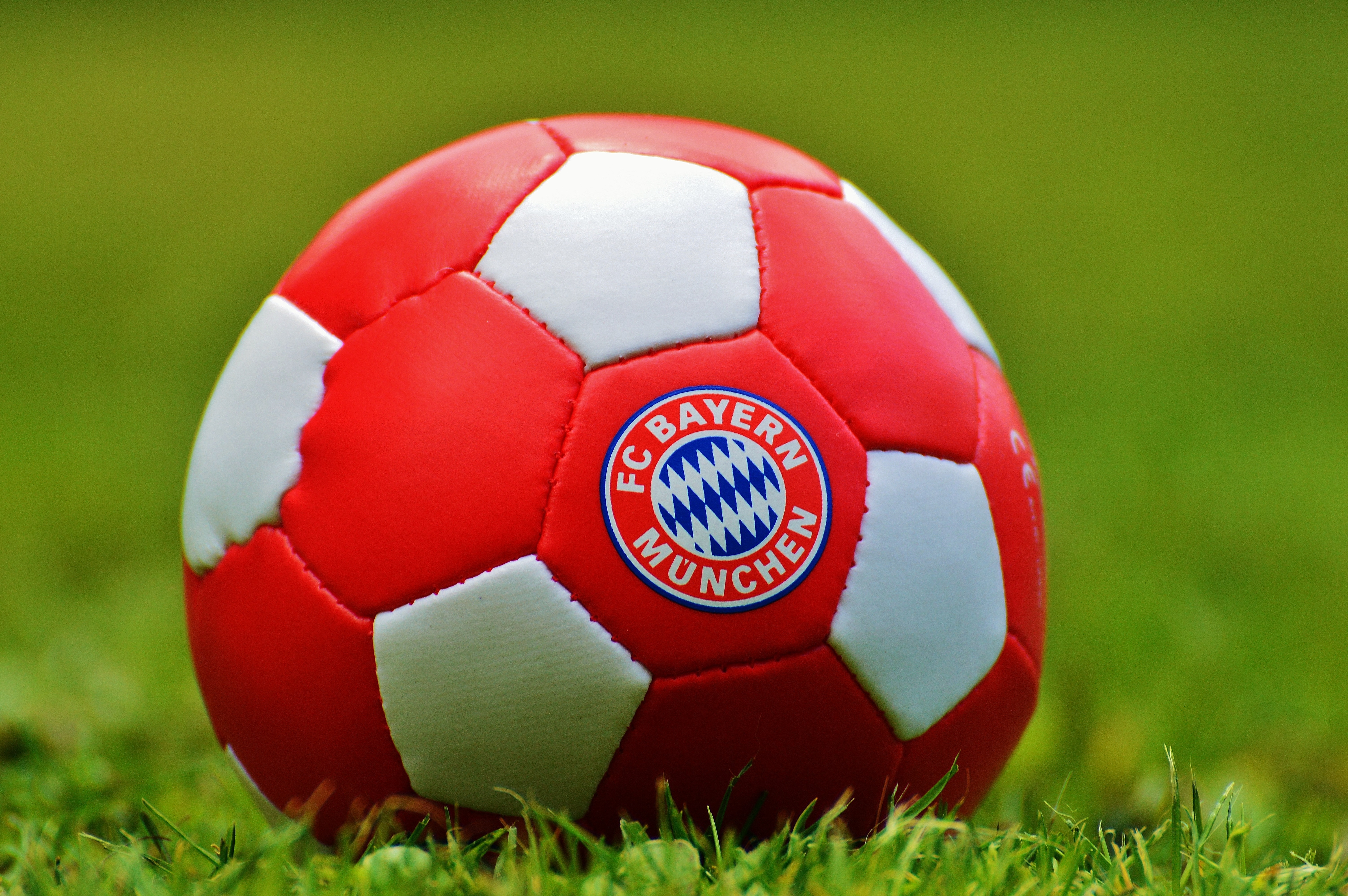 Bavaria, Football Club, Bayern Munich, grass, sport