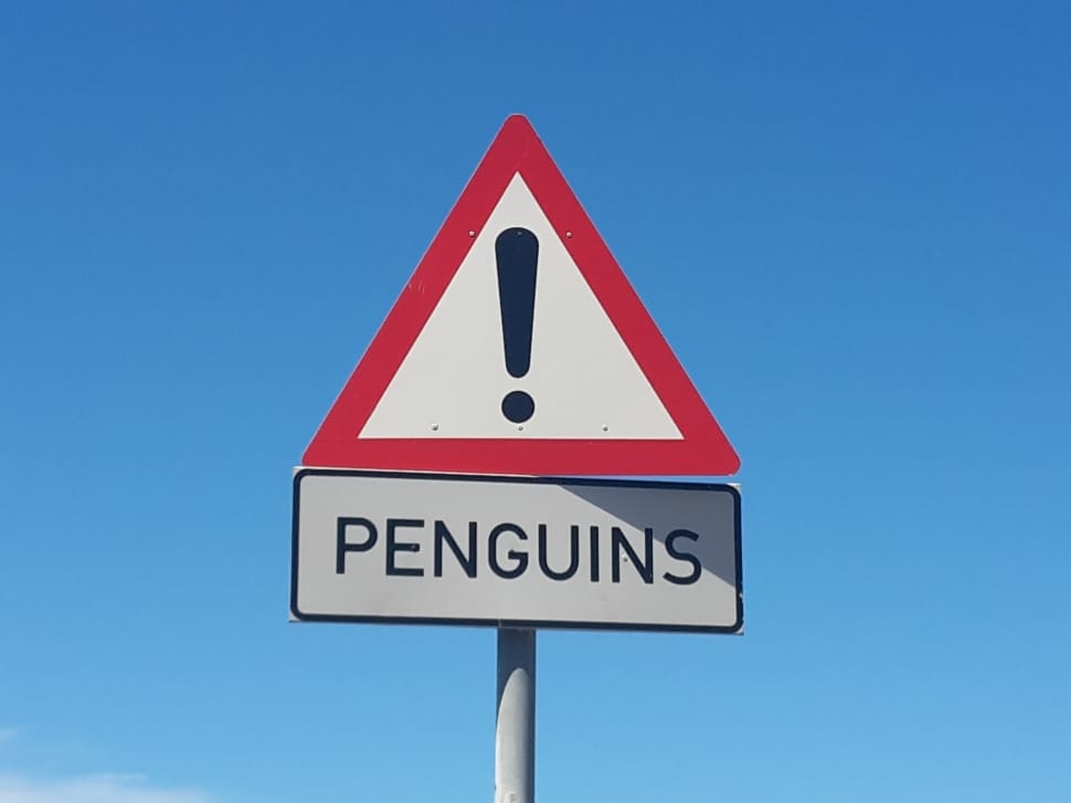 Penguins stop road sign during daytime preview
