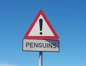 Penguins stop road sign during daytime thumbnail