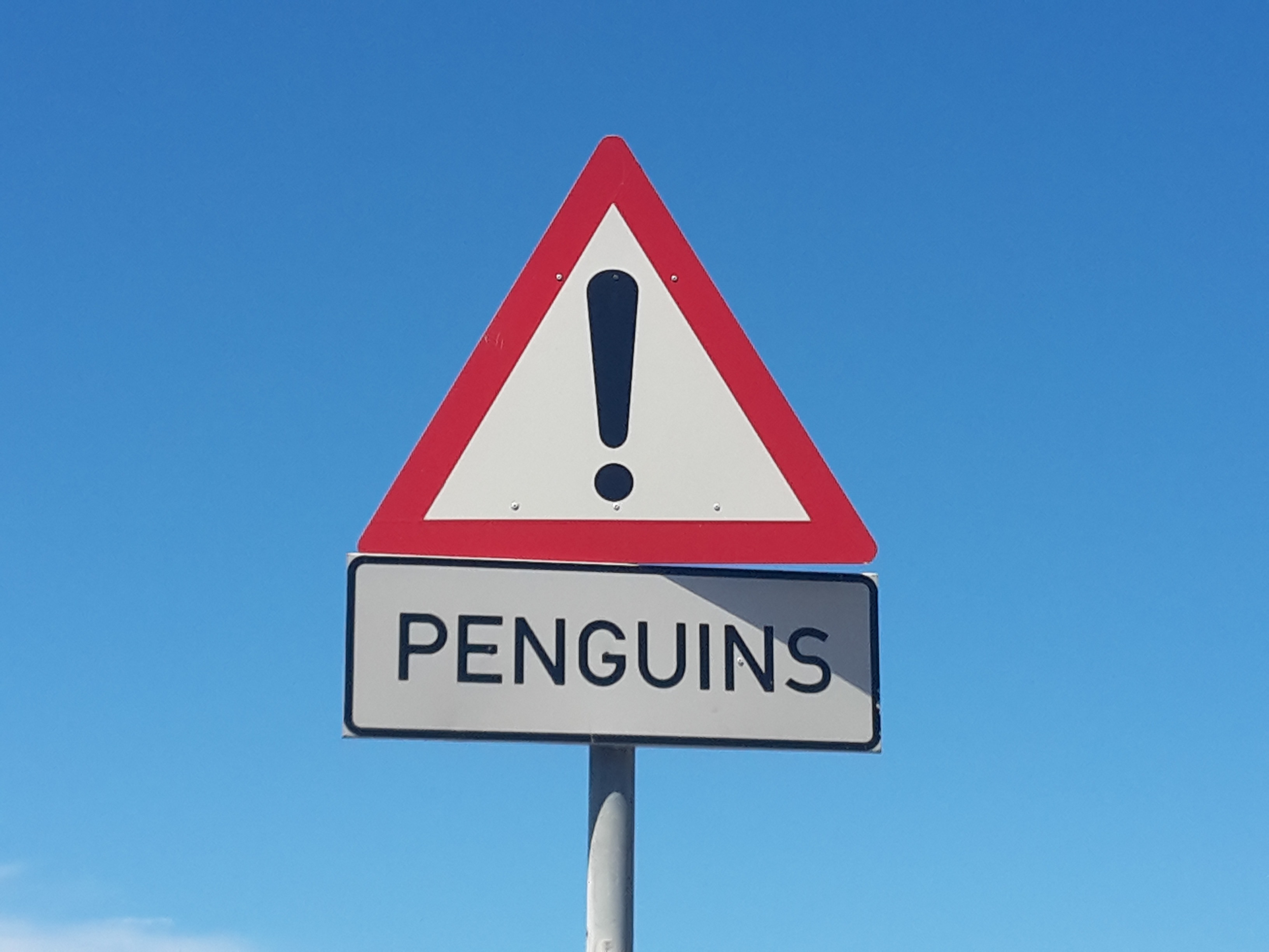 Penguins stop road sign during daytime