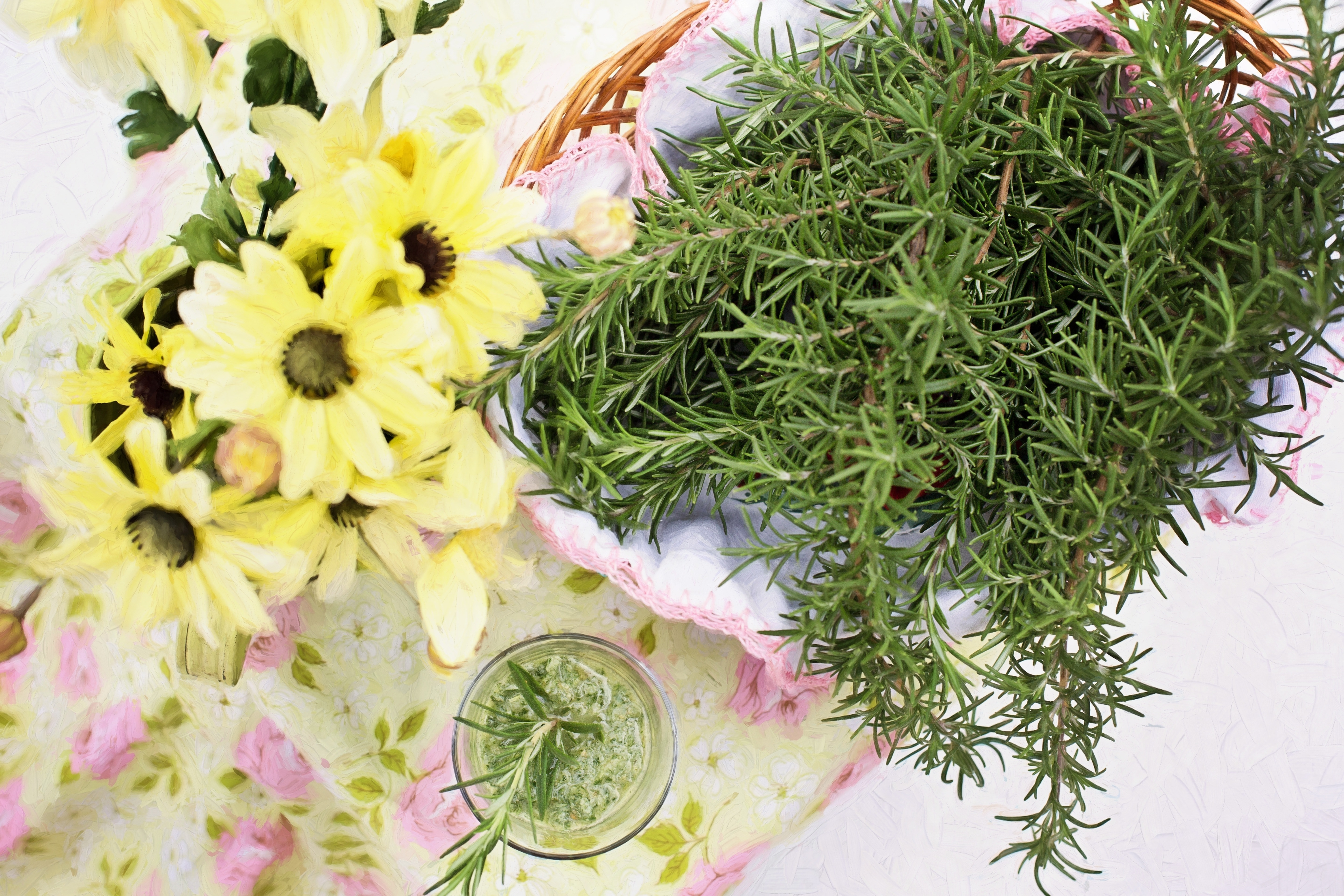 Healthy, Rosemary, Food, Herb, flower, green color