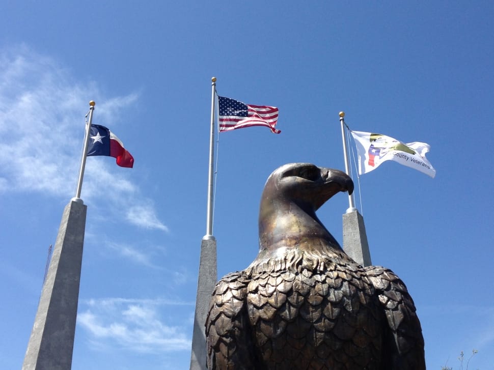 Blue Sky, Texas, Eagle, America, Flags, flag, patriotism preview