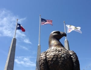 Blue Sky, Texas, Eagle, America, Flags, flag, patriotism thumbnail
