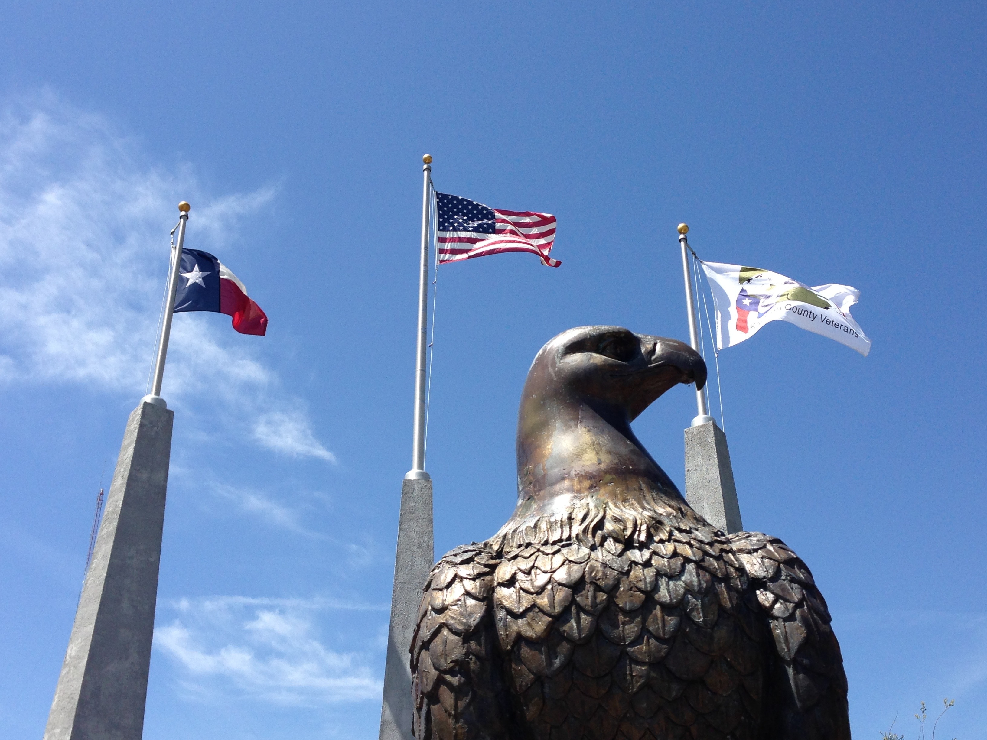 Blue Sky, Texas, Eagle, America, Flags, flag, patriotism