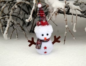 Snowman, Snow, White, Winter, snow, winter thumbnail