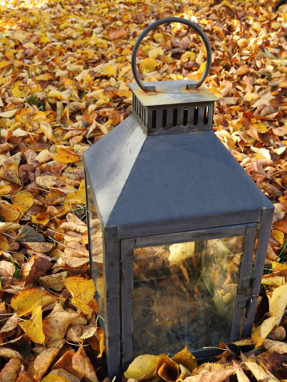 photography of lantern on field covered in leaves preview