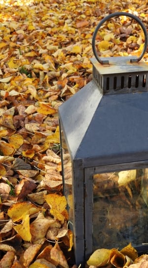 photography of lantern on field covered in leaves thumbnail