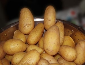 potato lot thumbnail