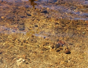 Wet, Fresh, Clear, Water, Nature, nature, physical geography thumbnail