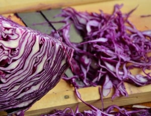 purple cabbage thumbnail