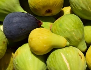 green and yellow oblong fruits thumbnail