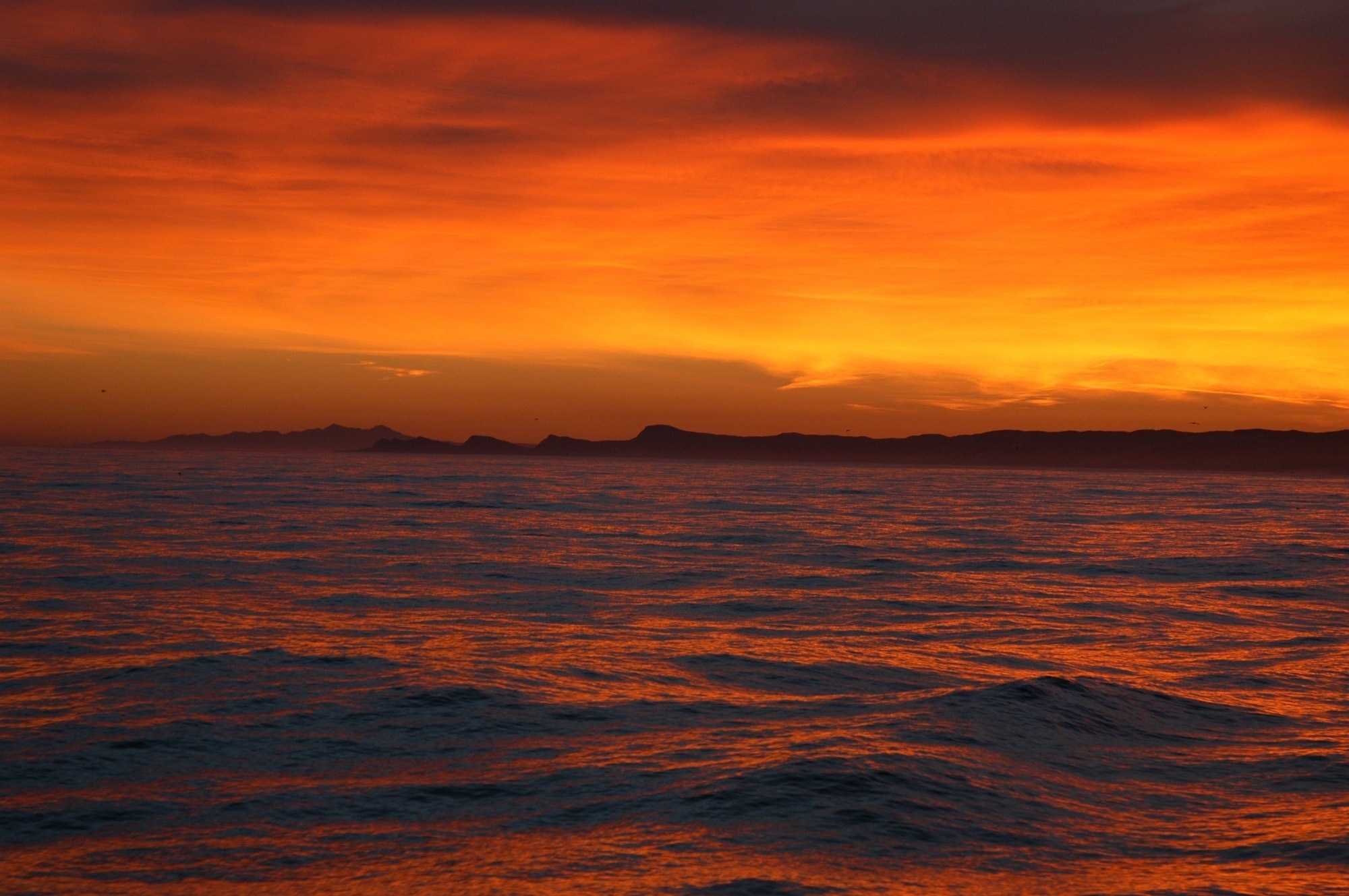 photo of ocean during sunset