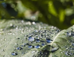water droplets thumbnail