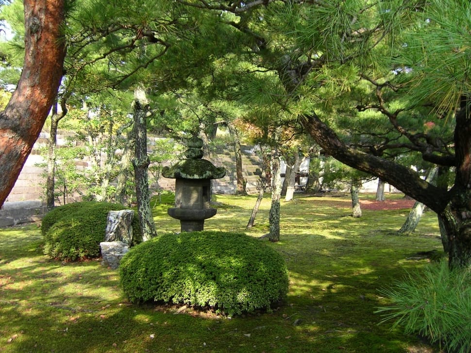 Garden, Japan, Autumn, tree, green color preview