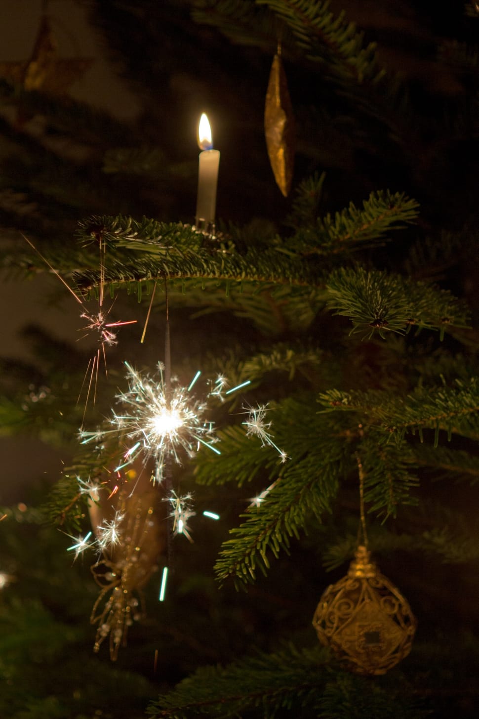 lights hanging on green pine tree christmas decor preview