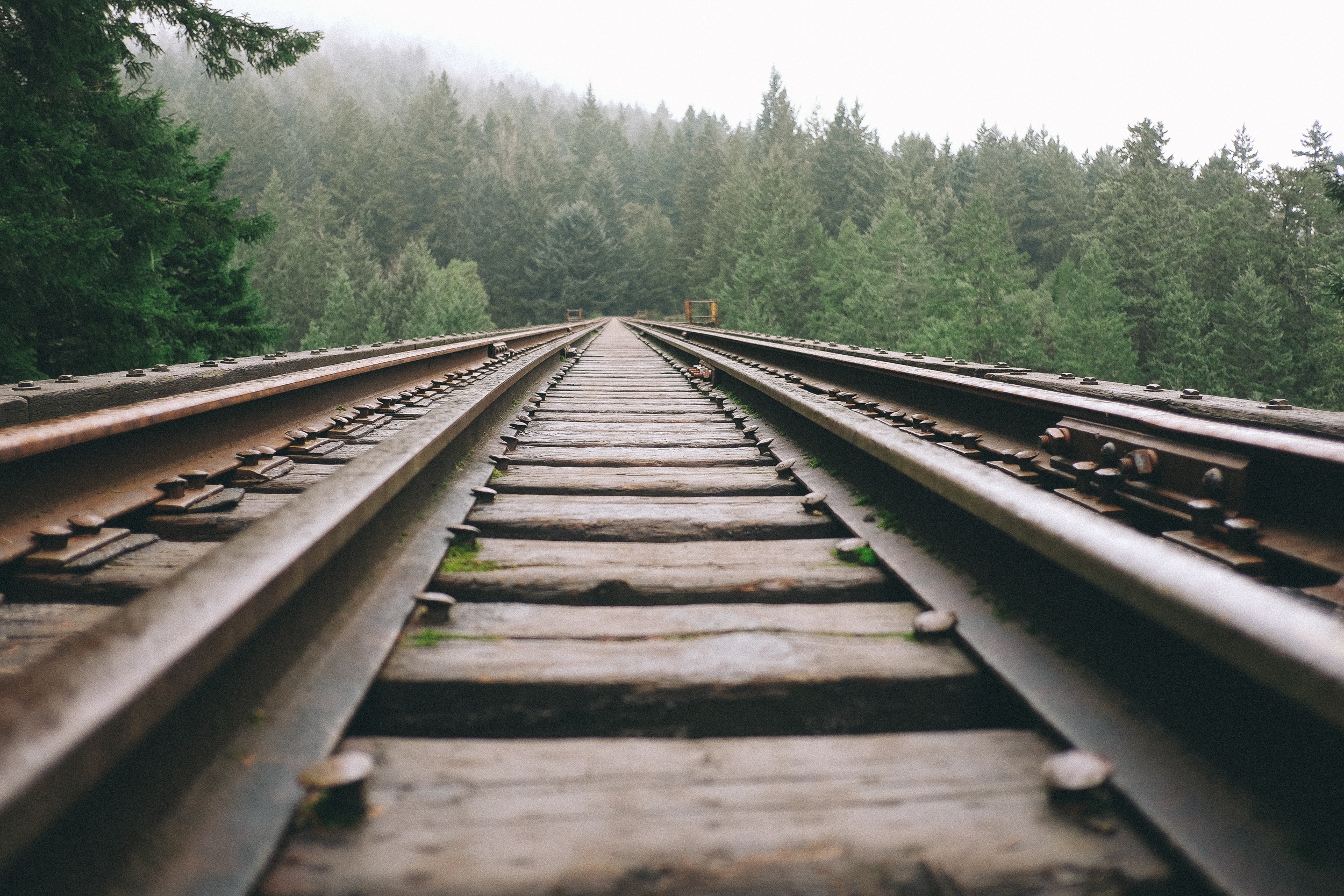 brown metal train rails