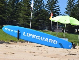 blue lifeguard surfing board thumbnail