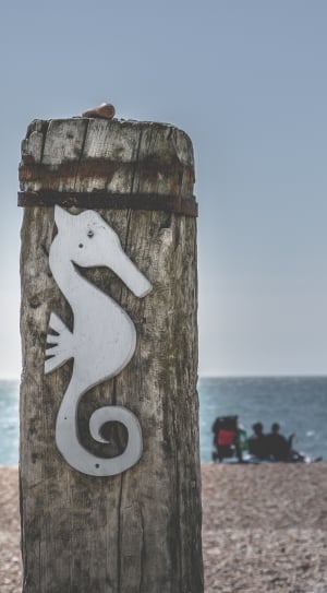 white wooden seahorse thumbnail