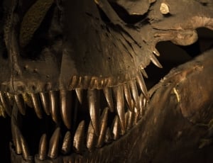 t-rex skeletal system thumbnail
