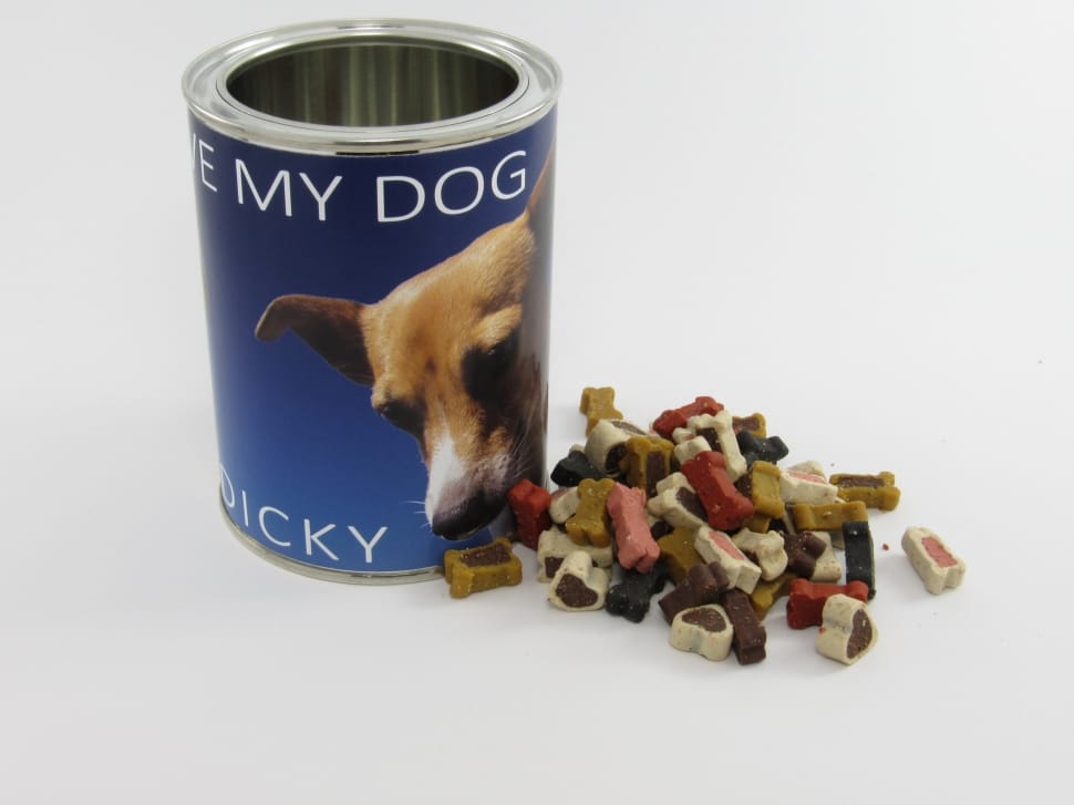 dog food and dog doof container preview