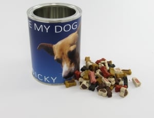 dog food and dog doof container thumbnail
