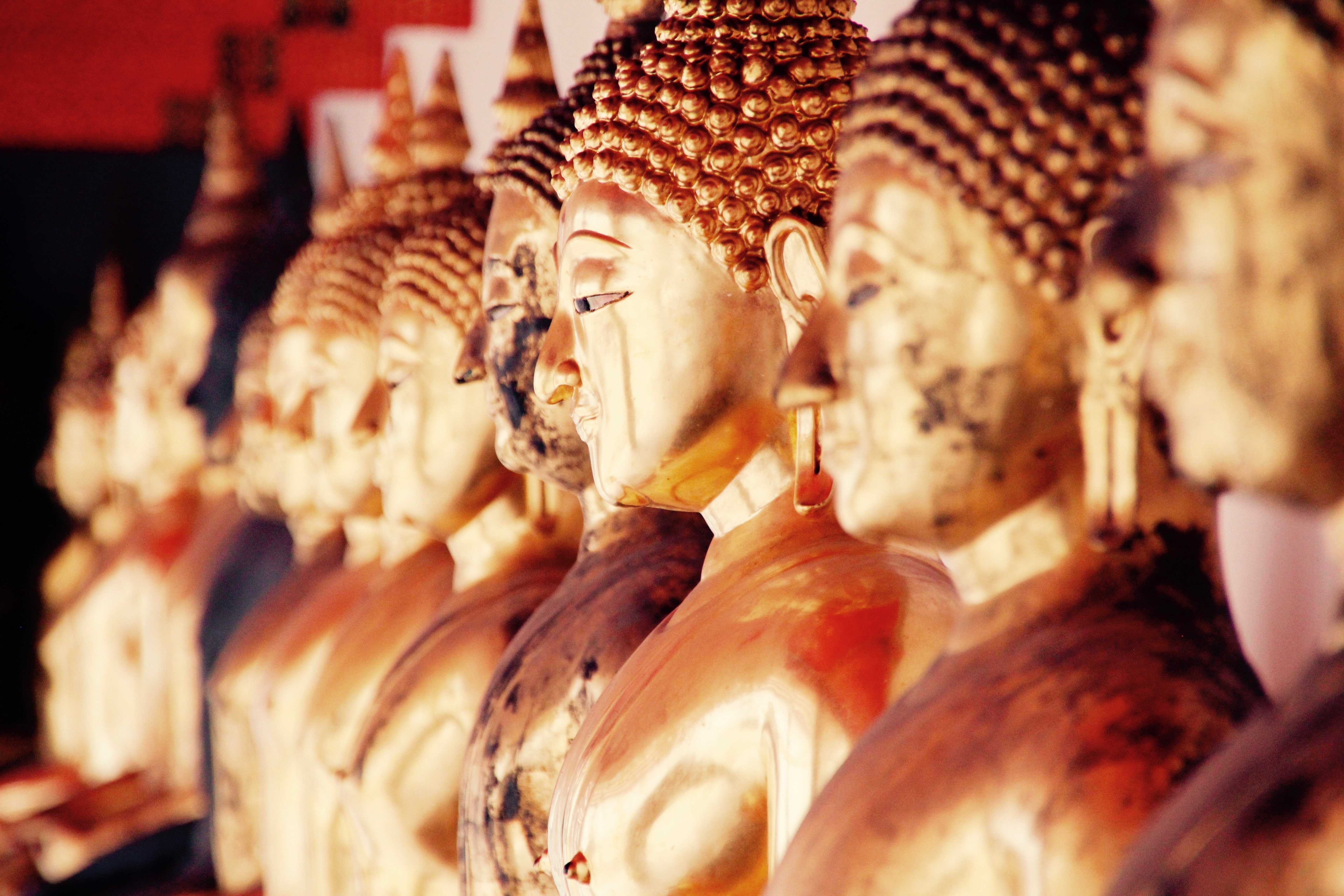 gold buddha lot