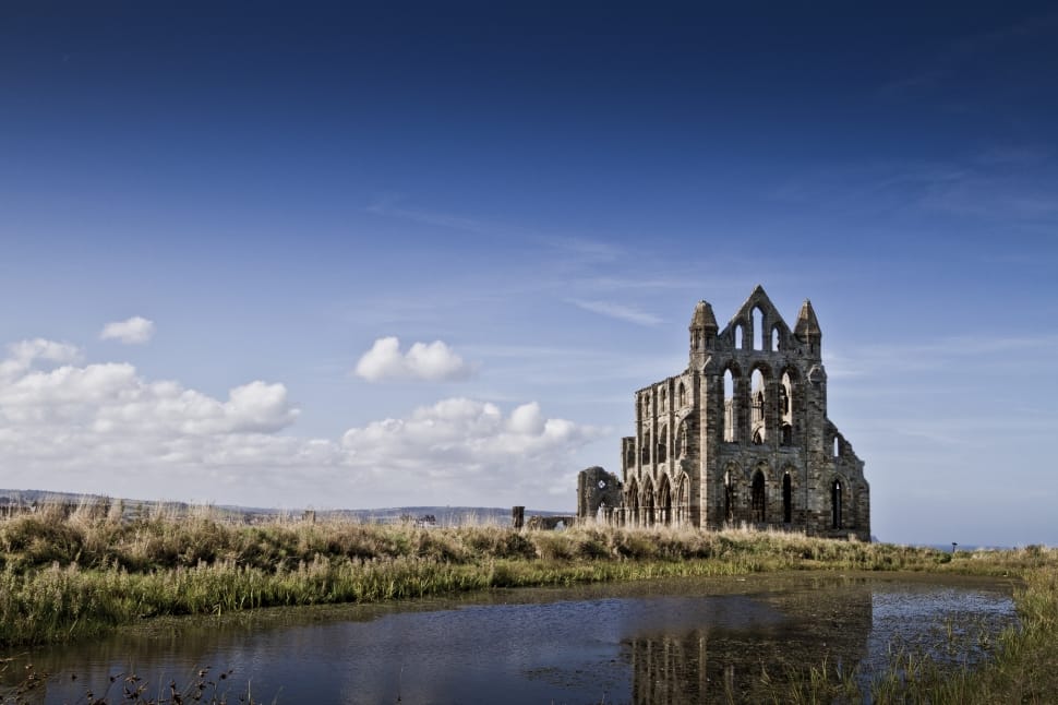 Whitby Abbey preview