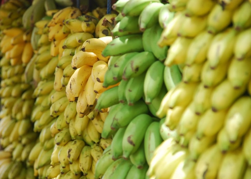 Stack of green and yellow bananas preview