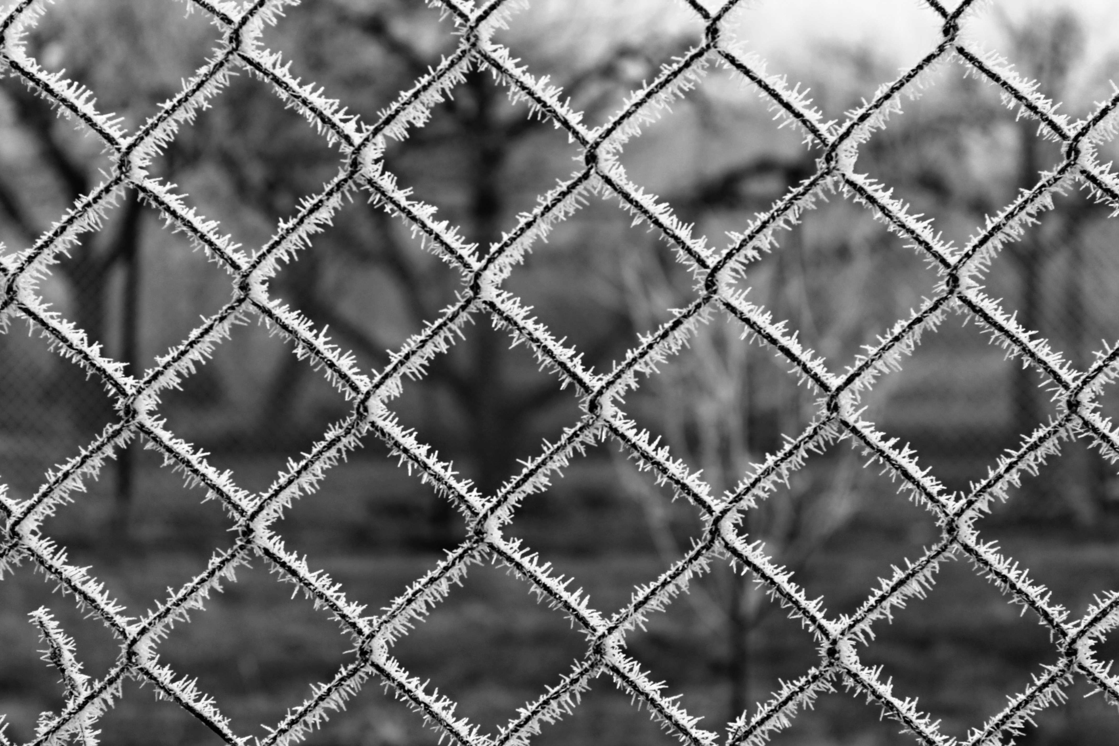 grey metal chain link fence