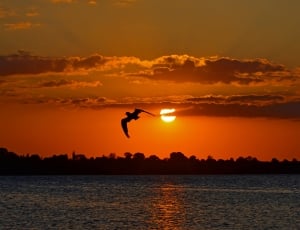 Sunset, Water, Evening Sun, Baltic Sea, sunset, silhouette thumbnail