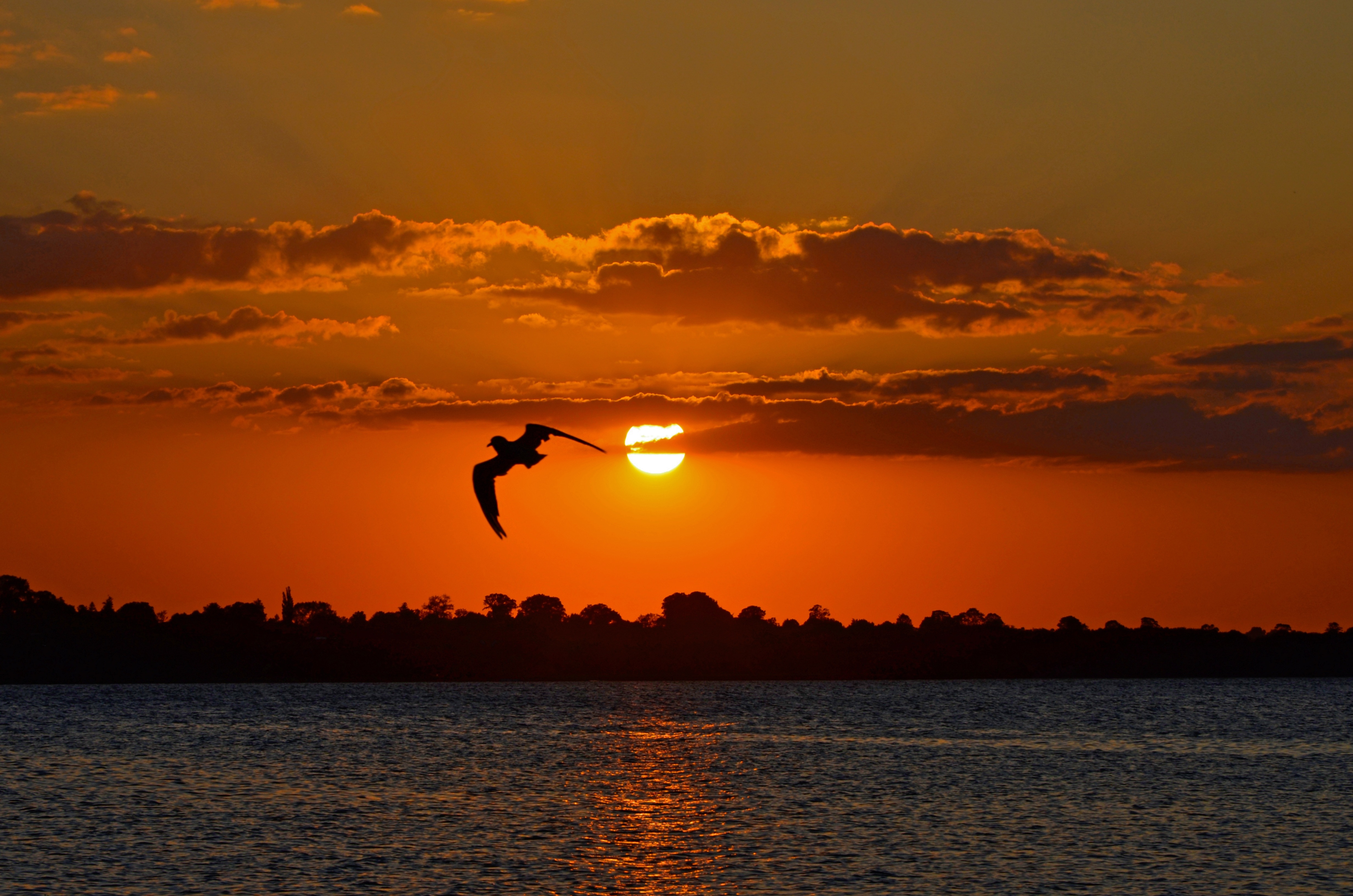 Sunset, Water, Evening Sun, Baltic Sea, sunset, silhouette