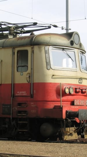 photography of red and beige train with #242 283-0 plate thumbnail