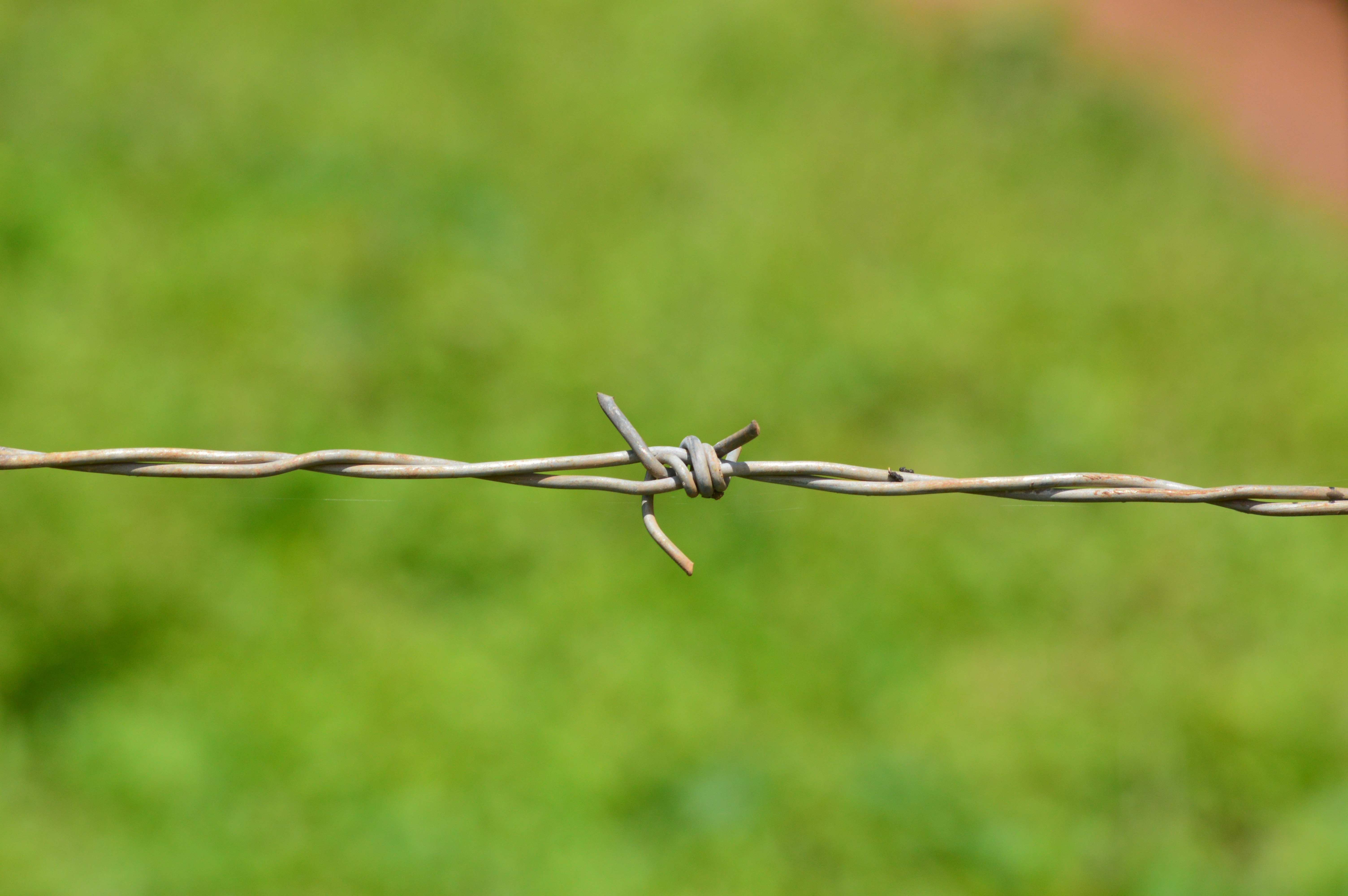 showing of gray barbwire