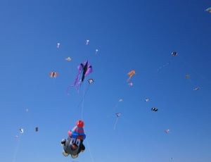 flying kites thumbnail