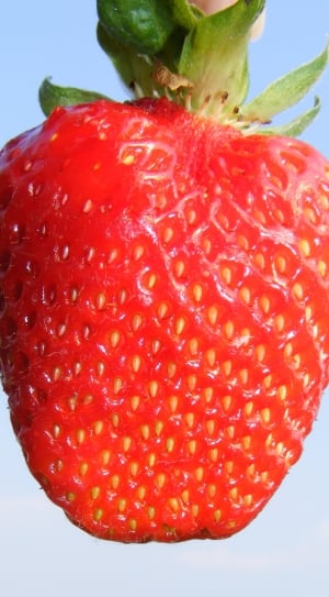 Strawberry, Girl, Sky, Blue, Fresh, Hand, red, fruit thumbnail