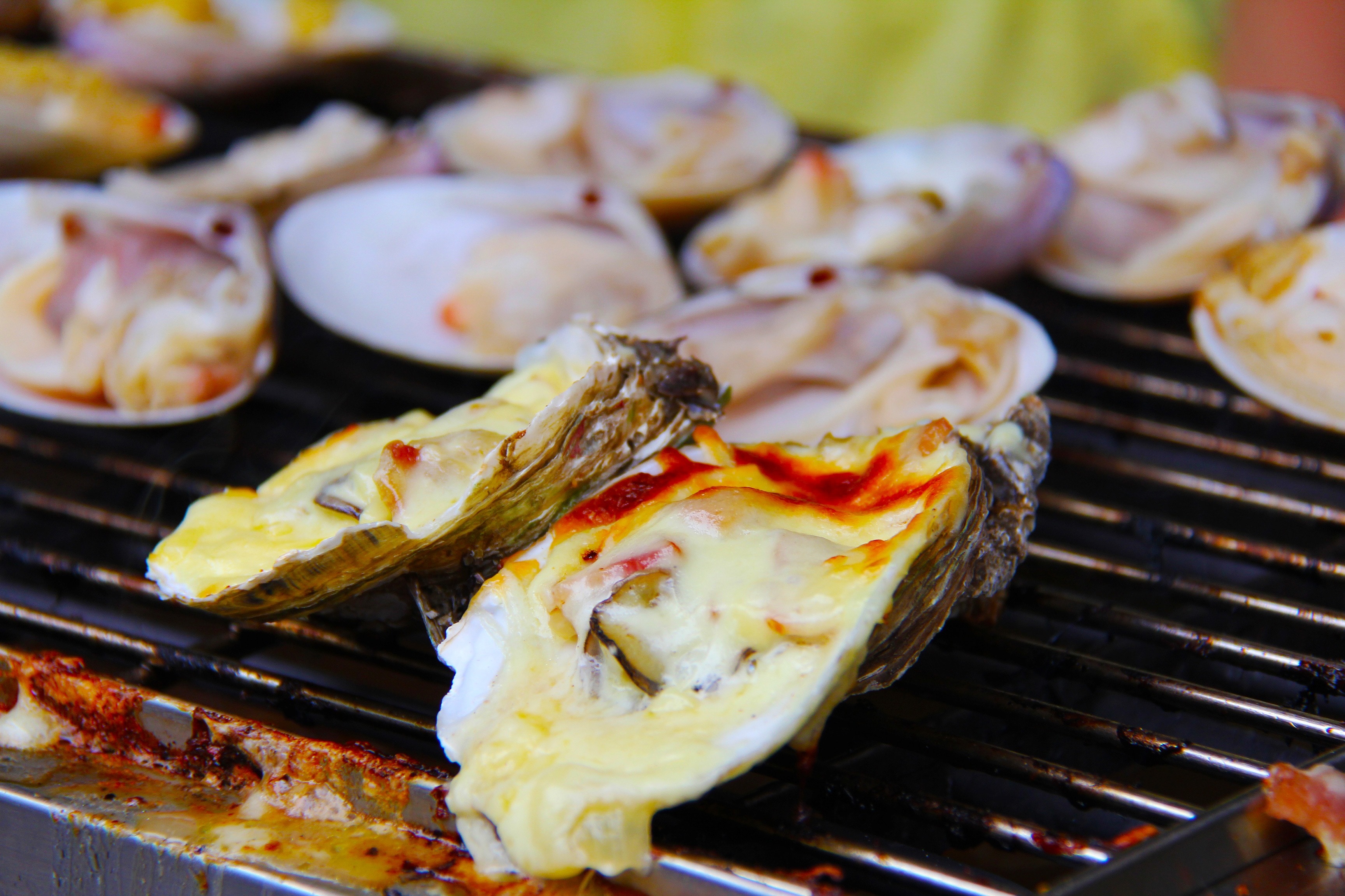 oyster grilled with cheese shallow focus