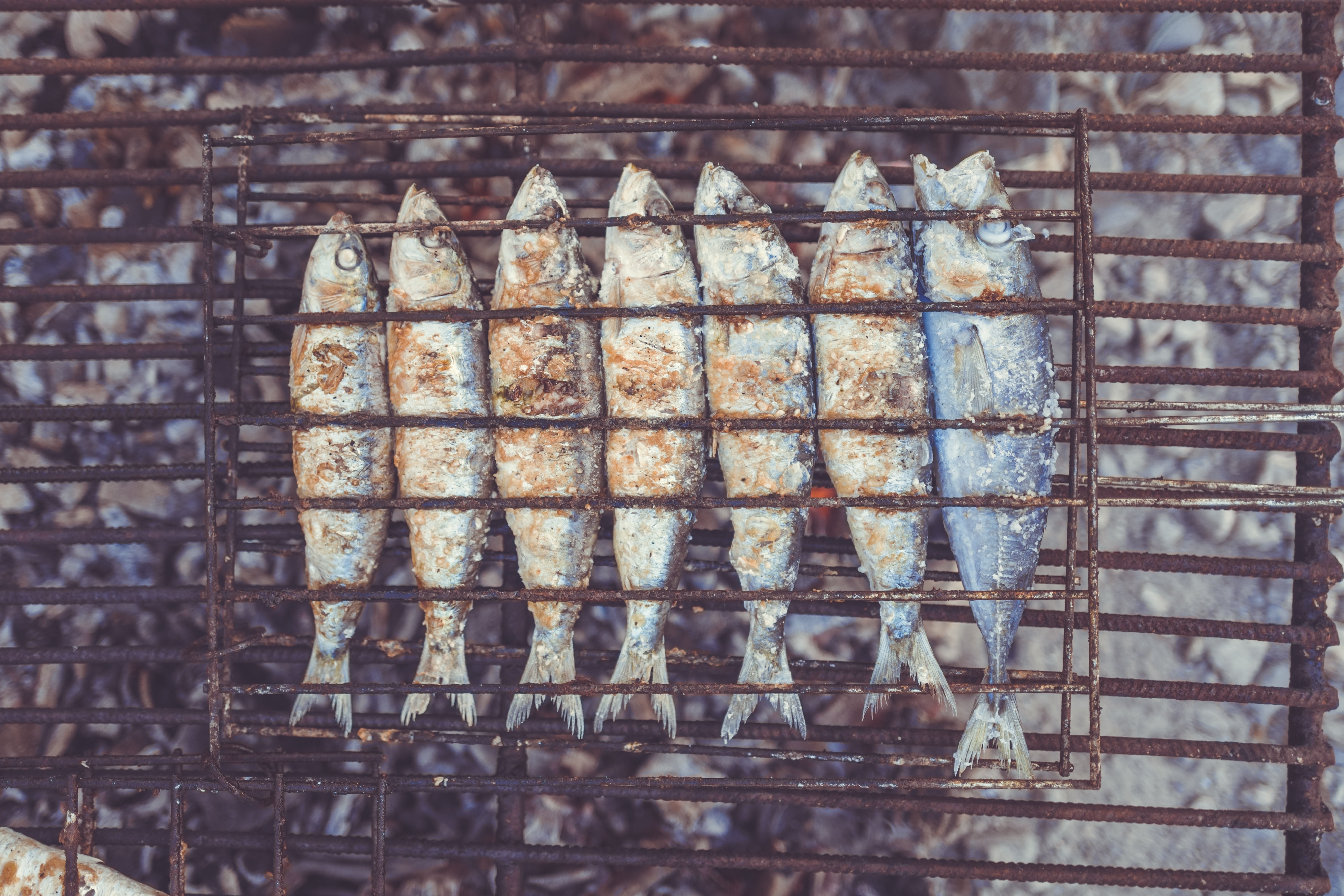 7 gray fish on gray metal grill