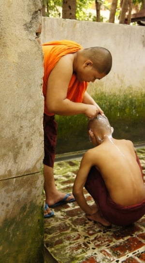 Shaving, Myanmar, Body Care, Help, Monk, one boy only, childhood thumbnail